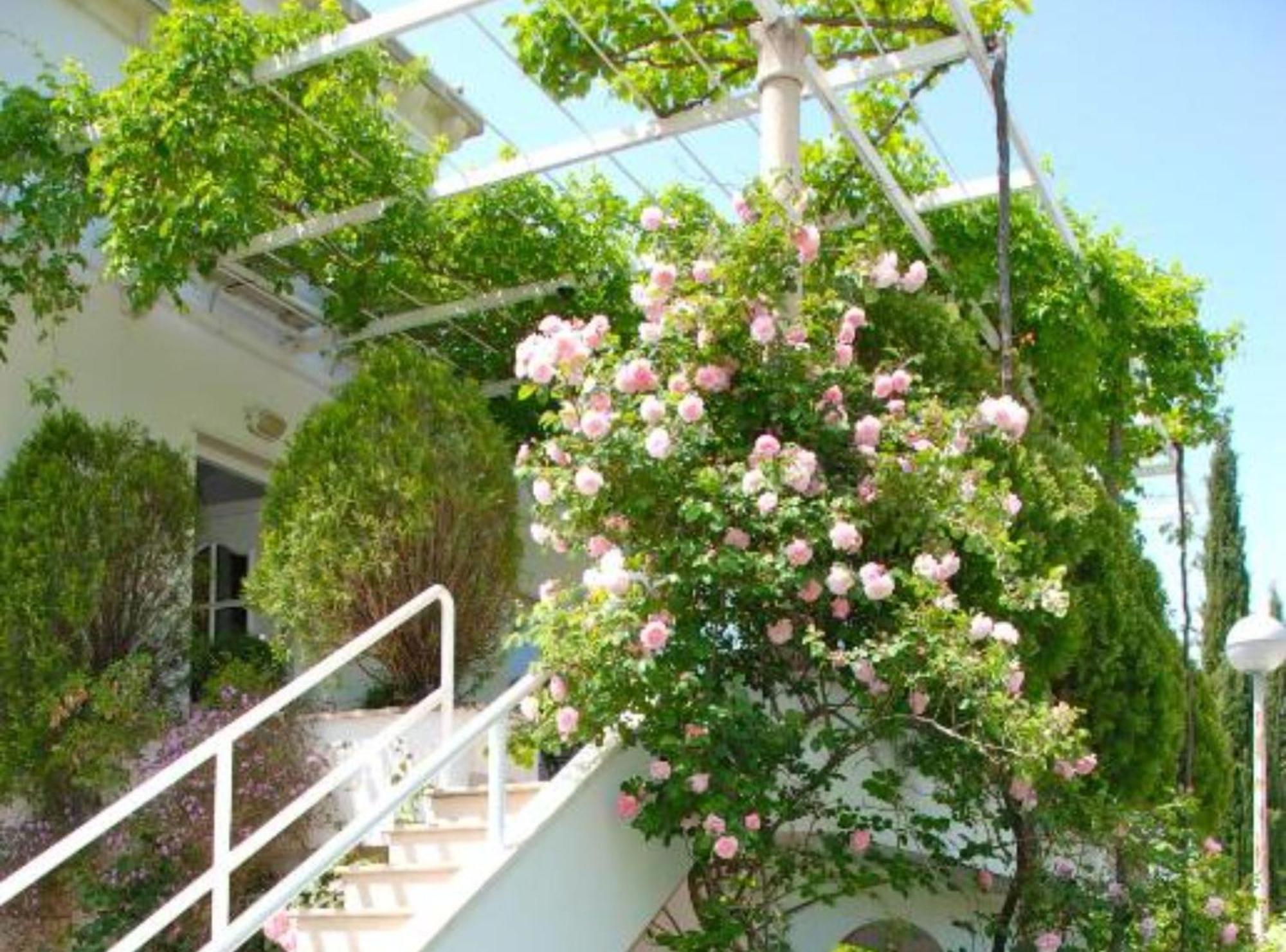 Villa Mediterranea Млини Екстер'єр фото